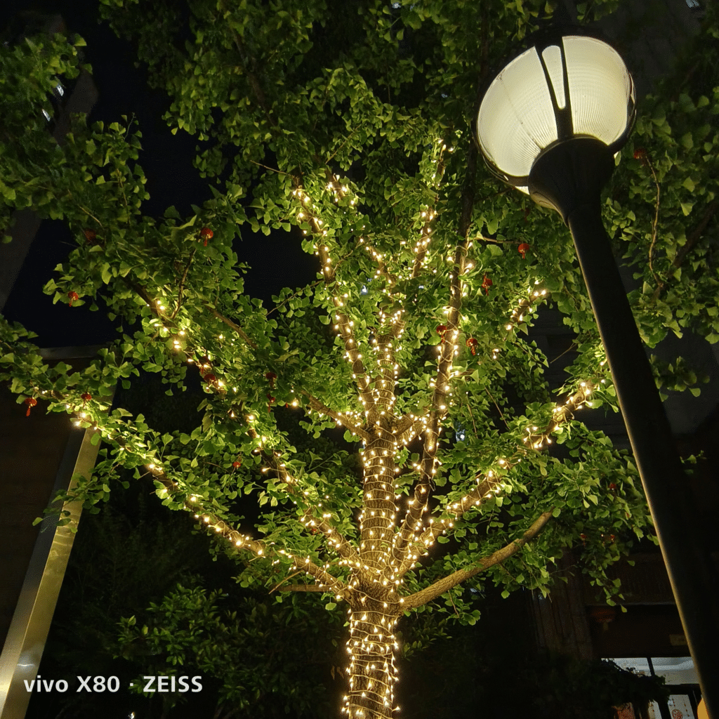 vivoX80_ZEISSphotos